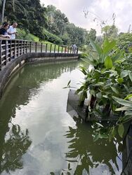 Jalan Merah Saga (D10), Condominium #603055271
